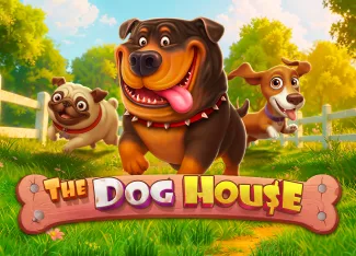 ไอคอนเกม vs20doghouse