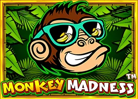 ไอคอนเกม vs9madmonkey