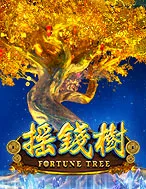 JUAD888 game play/fortunetree