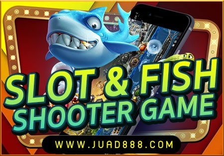 b2 รูปภาพ JUAD888