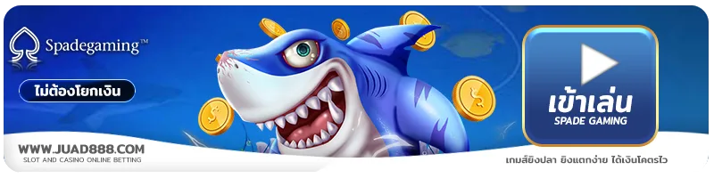 j29 รูปภาพ JUAD888