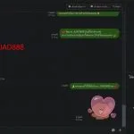 10 รูปภาพ JUAD888