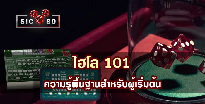 ไฮโล 101 ความรู้พื้นฐานสำหรับผู้เริ่มต้น