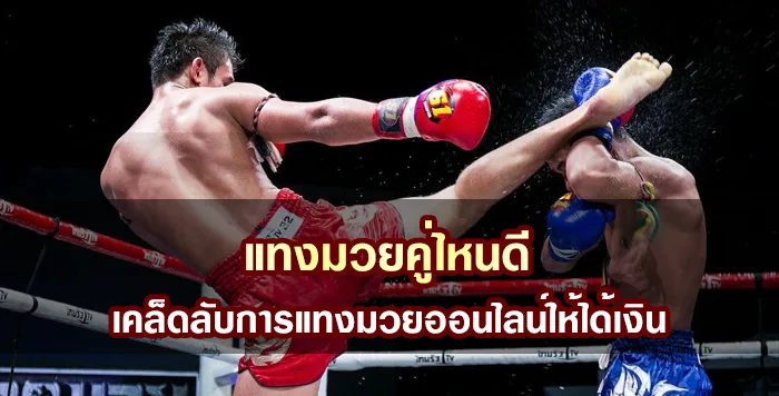 แทงมวยคู่ไหนดี เคล็ดลับการแทงมวยออนไลน์ให้ได้เงิน