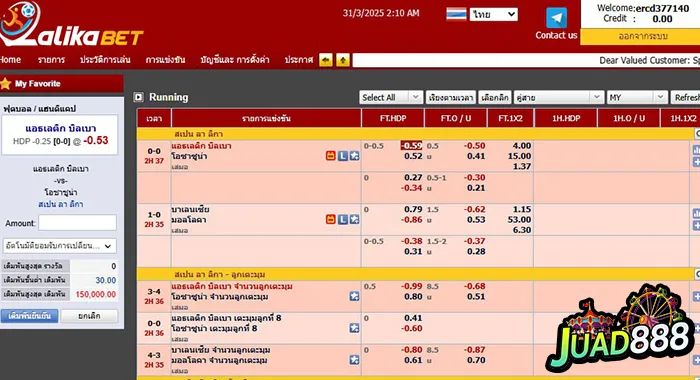 23 รูปภาพ JUAD888